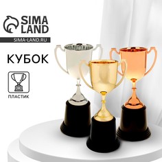 Кубок 036в, наградная фигура, серебро, подставка пластик, 22,7 × 11,8 × 9 см. Командор