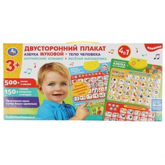Обучающая игрушка ЖУКОВА М Умка