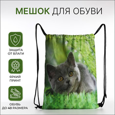 Мешок для обуви на шнурке, цвет зеленый No Brand