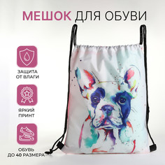 Мешок для обуви на шнурке, цвет белый No Brand