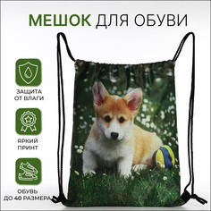 Мешок для обуви на шнурке, цвет зеленый No Brand