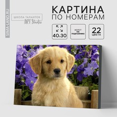 Картина по номерам на холсте с подрамником Школа талантов
