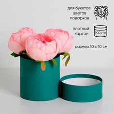 Шляпная коробка, изумрудная, 10 х 10 см Upak Land