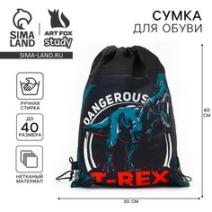 Мешок для обуви Art Fox Study