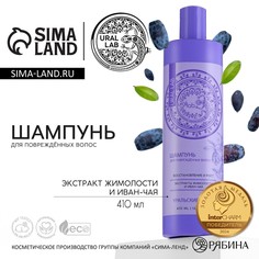 Шампунь для волос, с экстрактом жимолости и иван-чая, восстановление и рост, 410 мл, ural lab