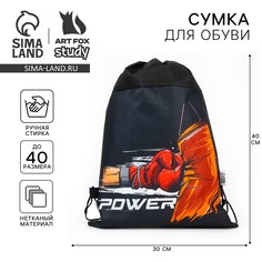 Мешок для обуви Art Fox Study