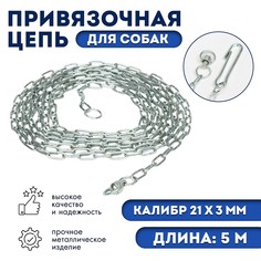 Цепь для привязи собак, 5 м, калибр 3 х 21 мм, белая No Brand