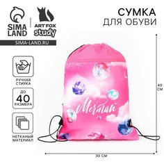 Мешок для обуви Art Fox Study