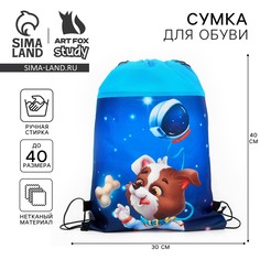 Мешок для обуви Art Fox Study