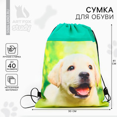 Мешок для обуви Art Fox Study