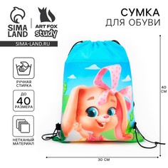 Мешок для обуви Art Fox Study