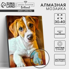 Алмазная мозаика с частичным заполнением на подрамнике Школа талантов