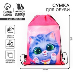 Мешок для обуви Art Fox Study