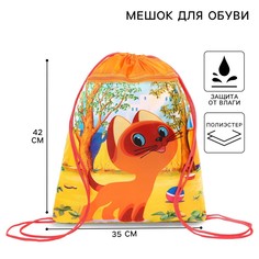 Мешок для обуви с карманом 420*350 мм, союзмультфильм