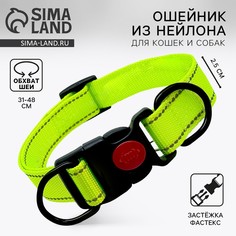Ошейник из нейлона с фастексом 2,5 см, ош 31-48 см, зеленый Пушистое счастье