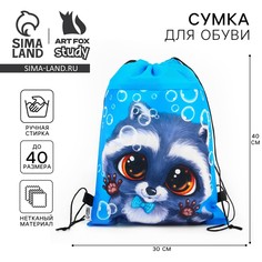 Мешок для обуви Art Fox Study