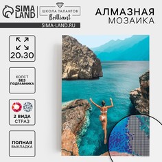 Алмазная мозаика с полным заполнением на холсте Школа талантов