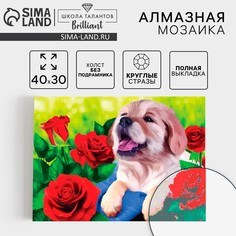 Алмазная мозаика с полным заполнением на холсте Школа талантов