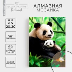 Алмазная мозаика с полным заполнением на холсте Школа талантов