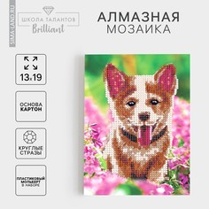 Алмазная мозаика с частичным заполнением на подставке Школа талантов