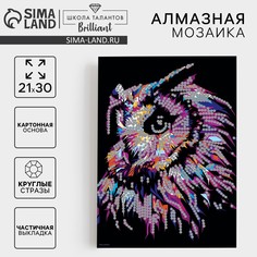 Алмазная мозаика с частичным заполнением на картонной основе Школа талантов