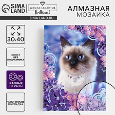 Алмазная мозаика с частичным заполнением и форменными стразами на холсте Школа талантов