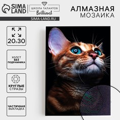 Алмазная мозаика с частичным заполнением на холсте Школа талантов