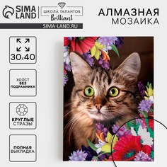 Алмазная мозаика с полным заполнением Школа талантов