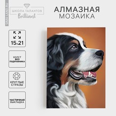 Алмазная мозаика с частичным заполнением на холсте Школа талантов