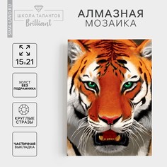 Алмазная мозаика с полным заполнением на холсте Школа талантов