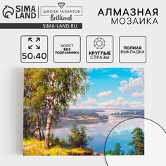 Алмазная мозаика с полным заполнением на холсте Школа талантов
