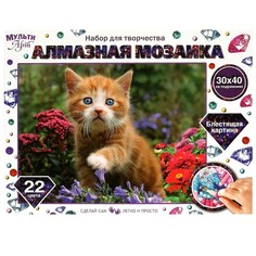 Набор для творчества (аппликация/мозаика) МУЛЬТИ АРТ AM30X40-CATANATUR
