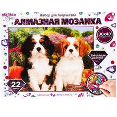 Набор для творчества (аппликация/мозаика) МУЛЬТИ АРТ AM30X40-DVESOB