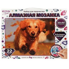 Набор для творчества (аппликация/мозаика) МУЛЬТИ АРТ AM30X40-MULTI48