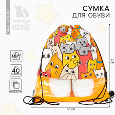 Мешок для обуви Art Fox Study