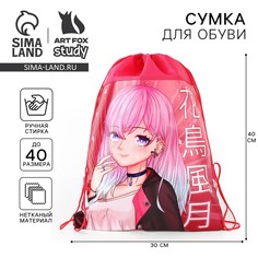 Мешок для обуви Art Fox Study