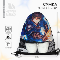 Мешок для обуви Art Fox Study