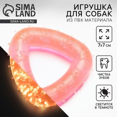 Игрушка для собак жевательная светящаяся в темноте Пушистое счастье