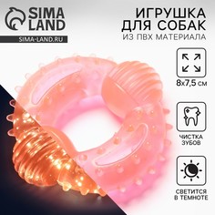 Игрушка для собак жевательная светящаяся в темноте Пушистое счастье