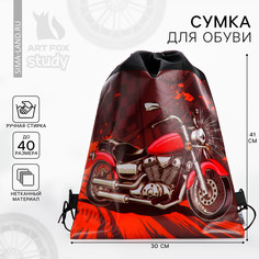 Мешок для обуви Art Fox Study