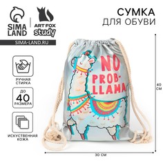 Мешок для обуви Art Fox Study