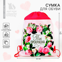 Мешок для обуви Art Fox Study