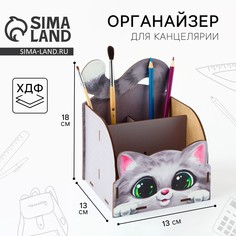 Органайзер для канцелярии Art Fox Study
