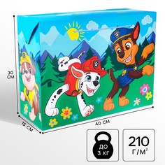 Пакет-коробка, 40 х 30 х 15 см, упаковка, щенячий патруль PAW Patrol