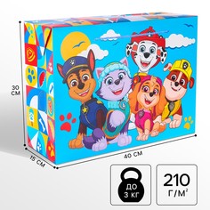 Пакет-коробка, 40 х 30 х 15 см, упаковка, щенячий патруль PAW Patrol