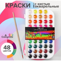 Краски акварельные 48 цветов, круглые, диаметр кюветы 23 мм, с кистью, пластиковый пенал, calligrata top