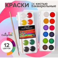 Краски акварельные 12 цветов, круглые, диаметр кюветы 28 мм, с кистью, пластиковый пенал, calligrata top