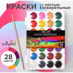 Краски акварельные 28 цветов, круглые, диаметр кюветы 28 мм, с кистью, пластиковый пенал, calligrata top