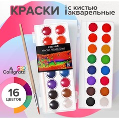 Краски акварельные 16 цветов, круглые, диаметр кюветы 23 мм, с кистью, пластиковый пенал, calligrata top