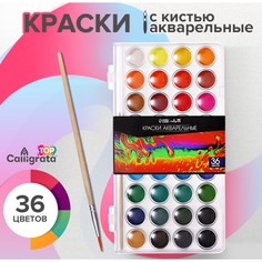 Краски акварельные 36 цветов, круглые, диаметр кюветы 23 мм, с кистью, пластиковый пенал, calligrata top